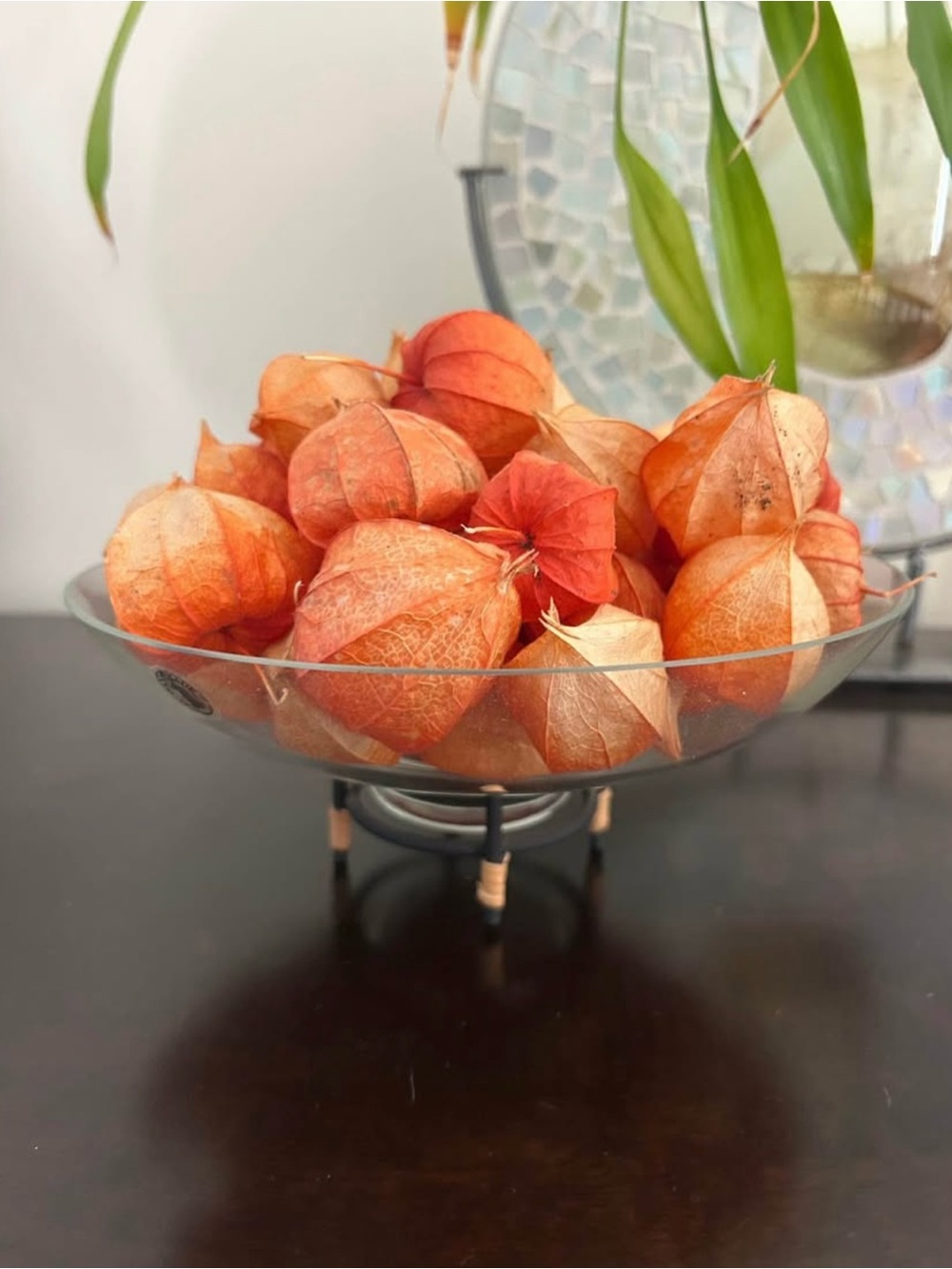 Derivative Glass Bowl on Stand